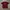 Timberland Vintage Y2K T-shirt Pria burgundy photo 1