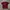 Timberland Vintage Y2K T-shirt Pria Burgundy