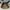 Guess Luxury Shoulder bag Wanita brown photo 1