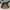 Guess Luxury Shoulder Bag Wanita Brown