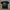 Harley Davidson Vintage Y2K T-shirt Pria Black