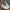 Adidas Casual Sneakers Pria white photo 2