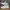 Adidas Casual Sneakers Pria white photo 1