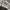 Dunlop Sportswear Casual Windbreaker Pria white black photo 2