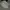 Yeezy Streetwear Sportswear Sneakers Pria White Gray