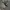 Yeezy Streetwear Sportswear Sneakers Pria white gray photo 3