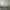 Yeezy Streetwear Sportswear Sneakers Pria white gray photo 6