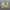 Vintage Y2K Fleece Pria green cream photo 2