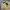Vintage Y2K Fleece Pria green cream photo 3