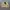 Vintage Y2K Fleece Pria green cream photo 4
