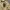 Vintage Y2K Fleece Pria green cream photo 1