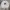 Adidas Casual Sweatshirt Pria gray photo 1