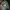 Y2K Casual Culotte Wanita green photo 2