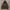 Nike Streetwear Y2K Hoody Pria brown photo 1
