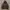 Nike Streetwear Y2K Hoody Pria Brown