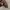 Nike Streetwear Y2K Hoody Pria brown photo 3