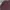 Vintage Streetwear Sweatshirt Pria red gray photo 4