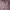 Ninety Degrees Lolita Coquette Denim jacket Wanita pink photo 4