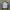 Adidas Vintage Sportswear Track jacket Pria white photo 3