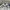 Adidas Vintage Sportswear Track jacket Pria white photo 5