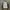 Adidas Vintage Sportswear Track jacket Pria white photo 2