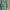 Casual Midi dress Wanita white green photo 2