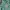 Casual Midi dress Wanita white green photo 4