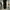 Streetwear Y2K Jeans Pria black photo 1