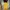 Uniqlo Streetwear Y2K Jeans Pria yellow photo 1