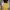 Uniqlo Streetwear Y2K Jeans Pria Yellow