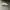 Adidas Casual Sneakers Pria white photo 1