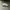 Adidas Casual Sneakers Pria White