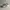 Adidas Casual Sneakers Wanita white photo 1