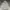 Carhartt Vintage Streetwear Hoody Pria gray photo 1