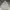 Carhartt Vintage Streetwear Hoody Pria Gray