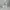 Salomon Sportswear Sneakers Pria white cream photo 3