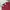 Number Nine Vintage Sportswear Polo Shirt Pria Burgundy