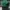 Vintage Streetwear Hat Pria green photo 2