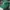 Vintage Streetwear Hat Pria green photo 1