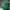Vintage Streetwear Hat Pria Green