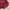 Japanese brand Vintage Casual Sweater Pria burgundy photo 3