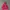 Vintage Y2K Hoody Pria red photo 4