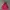 Vintage Y2K Hoody Pria red photo 1