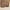 Luxury Minimalist Sweatshirt Pria tan photo 3