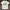 Grunge Avant Garde T-shirt Pria white photo 1