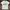Grunge Avant Garde T-shirt Pria White
