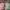 Vintage Streetwear Hat Pria Multicolor