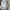 Adidas Casual Sweatshirt Pria cream photo 5