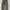 Carhartt Streetwear Y2K Jeans Pria green photo 1
