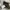Gorpcore Casual Bomber jacket Pria white green photo 4